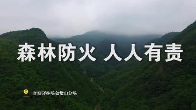 【文明创建】森林防火 人人有责