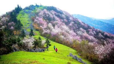 美文｜ 神奇葛仙山（节选）