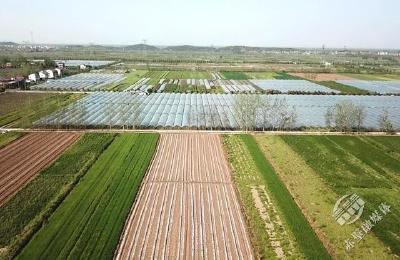 赤壁首次人工孵化鳝鱼成功，醉仙虾销售火爆，莲藕基地播种新品种——乡村振兴的柳山湖样本