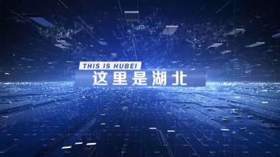 这里是湖北 | 完整准确全面贯彻习近平总书记对湖北工作重要指示精神！
