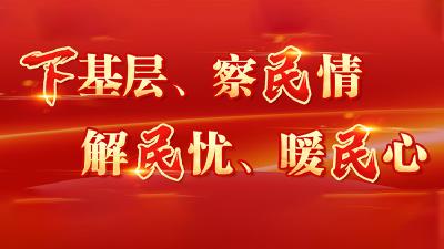 全省党员干部下基层察民情解民忧暖民心实践活动