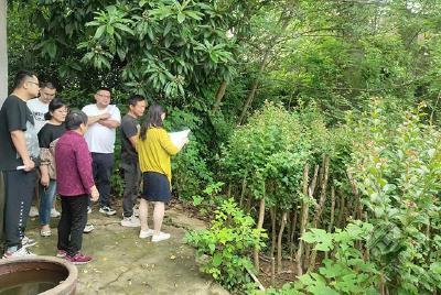 赤壁城发集团：监督保障青苗补偿到位