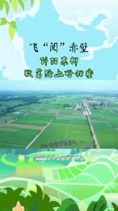 阡陌东柳 致富路上好甜蜜