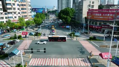 【文明创建】文明过马路 道德新风尚