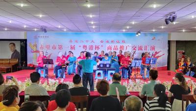 赤壁市举办“粤港杯”第一届广场文化交流汇演