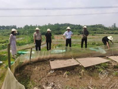 文明单位风采(25) | 市统计局：下基层察民情解民忧暖民心 改善毕畈村人居环境