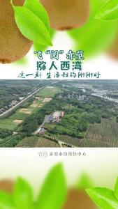 飞“阅”赤壁｜猕人西湾：这一刻 生活甜的刚刚好