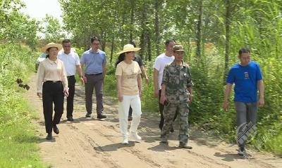 市领导检查四邑公堤防汛工作  