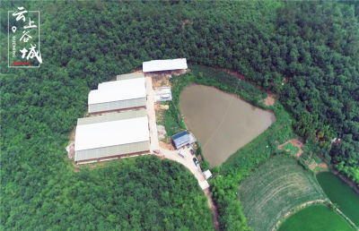 谷城农技中心：“床场一体化”养殖新模式助农增收