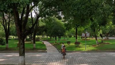 文明城市看赤壁 | 烟头不落地 城市更美丽
