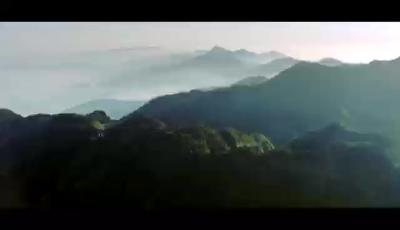 《你就是旗帜》