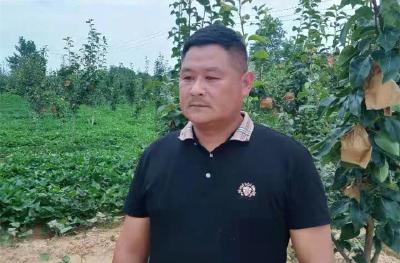 专家“坐诊”开“良方” 助农增收田间忙