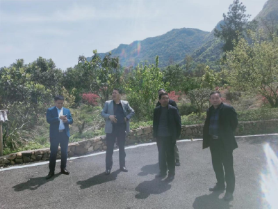 黄石老促会成为三溪姜福村产业发展“助推器”