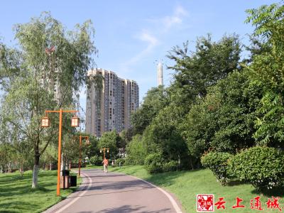 通城县园林局：苗圃基地扦插育苗忙