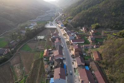 南漳白鹤船村：茶园里共话乡村振兴