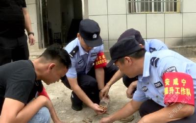 赤壁市警方“缉枪治爆”行动再添战果 群众主动上缴159发雷管  