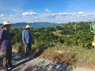 陆水湖街道：办实事解难题 积极抗旱保民生