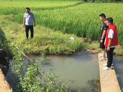 下基层察民情解民忧暖民心 | 赤壁城发集团：一线抗旱 力保丰收