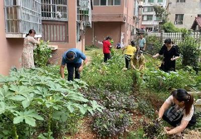 创文进行时 | 赤马港大桥社区对种子花园小区开展环境整治  