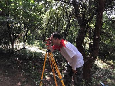 优秀！湖北2022年林草湿样地调查通过国家级质量评定检查