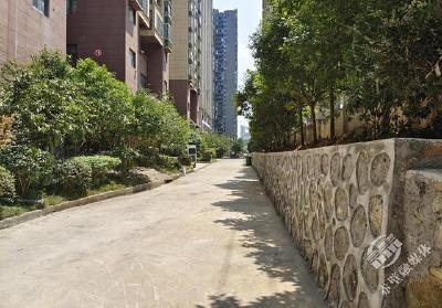 下基层察民情解民忧暖民心|北站社区：在纳凉拉家常中为民解忧