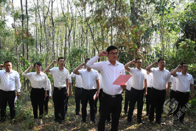 赤壁市神山镇：祭英烈 缅英怀