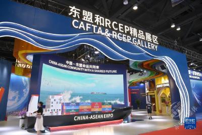 开放的大门越开越大——从东博会看RCEP新机遇
