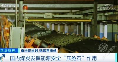 我国能源自主保障能力显著提升 能源结构持续稳步优化