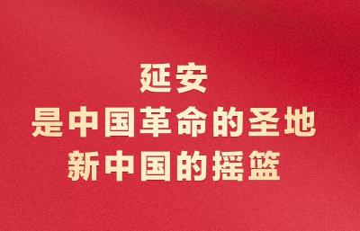 习近平：延安革命旧址是一本永远读不完的书