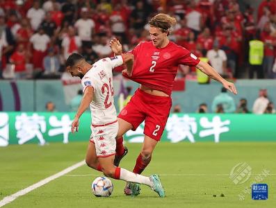 D组：丹麦战平突尼斯