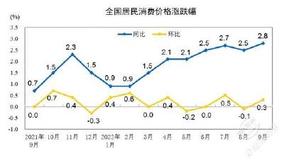 猪价涨、菜价降，10月CPI同比涨幅或回落