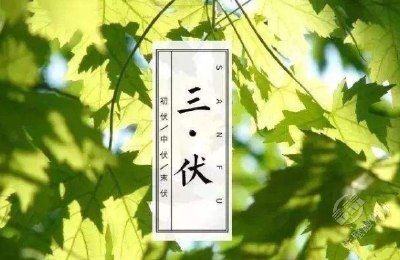 “书说中医”第十二期：解暑化湿度三伏