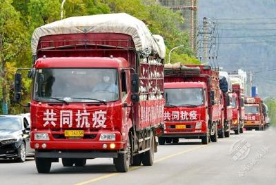 “县过县”的爱！嘉鱼县向赤壁市捐赠100吨爱心蔬菜