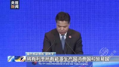 促进合作共赢 第十一届中国国际石油贸易大会举行