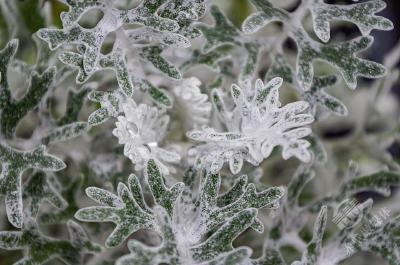 美文 | 跟着节气过冬天