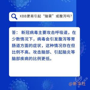 防疫科普【121】六问六答带你了解XBB变异毒株关键点