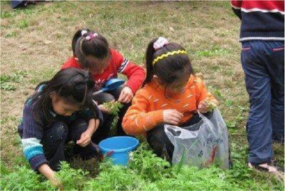 美文 | 父亲和野菜