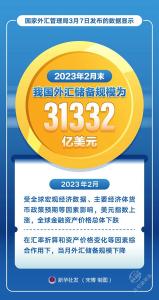2月末我国外汇储备规模为31332亿美元 
