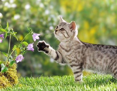 美文 | 临江仙（三首）