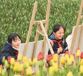 重庆沙坪坝：亲近乡野 快乐研学
