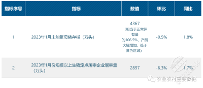 农业农村部：1月全国批发市场白条猪每公斤23.72元 环比下降18.8%