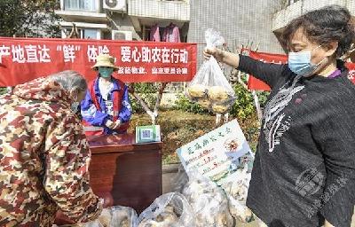 汉川滞销莲藕送到武汉市民餐桌 三小区一天采购4600斤 爱心助农行动仍在继续