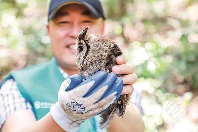 武汉九峰森林动物园放归一批救助动物