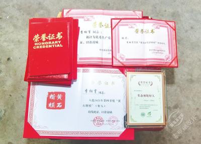 湖北黄石：八旬村民李相育守岛护鸟——25年开荒植绿，迎来满目苍翠