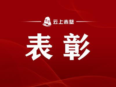 点赞！赤壁市20个集体35名个人荣获赤壁市“两红两优”