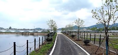 四季瓜果蔬菜大聚会 好看好吃又好玩 都市田园综合体成近郊游黑马选项