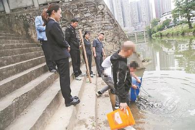 湖北多地法院发布多起破坏环境资源典型案例 村民架网护菜伤鸟被判道歉赔偿