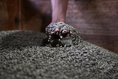 洪都拉斯商界人士对洪中经贸合作充满信心