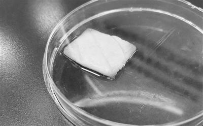 人类食肉进化史——从饲养牲畜到培养细胞