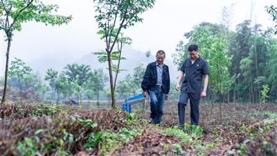 从砍树人到种树人